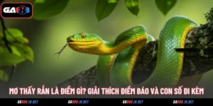 mo thay ran la diem gi giai thich diem bao va con so di kem